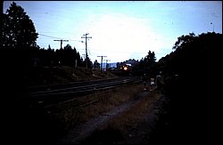 1982-08 Steam Train Powassan 08.JPG