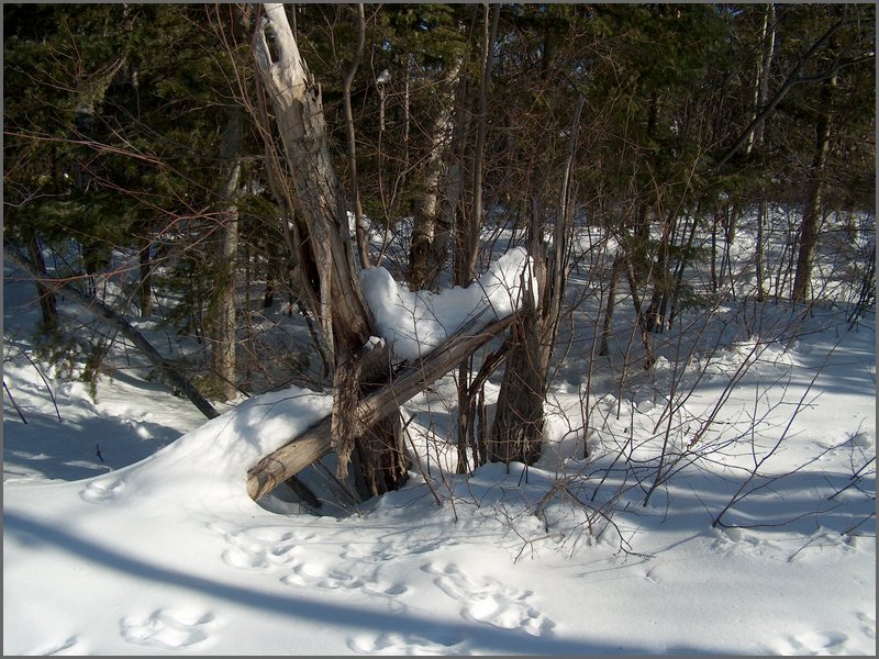 March 2006 19.jpg
