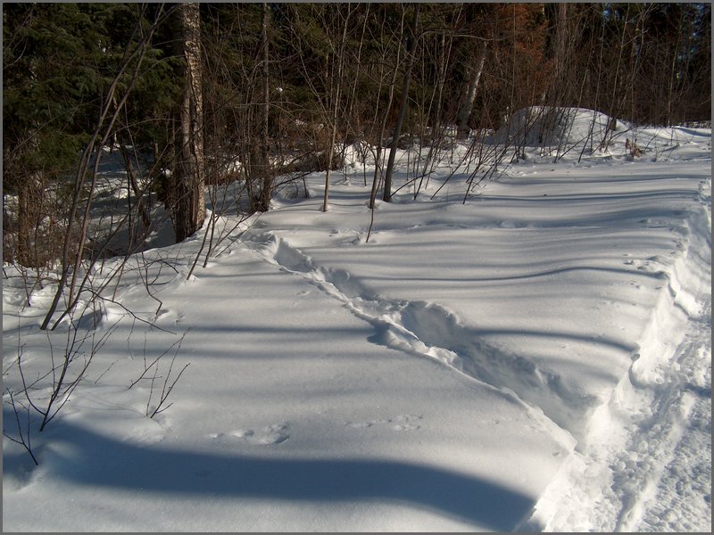 March 2006 20.jpg