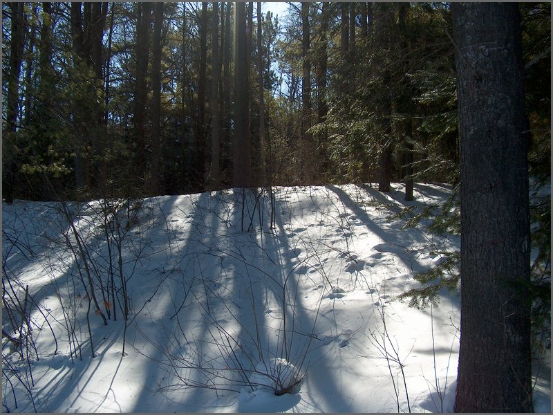 March 2006 30.jpg
