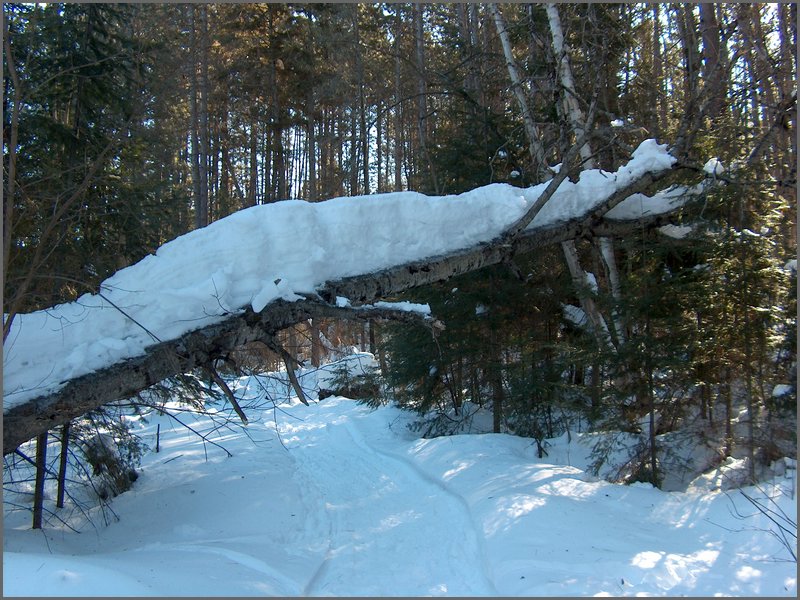 March 2006 32.jpg