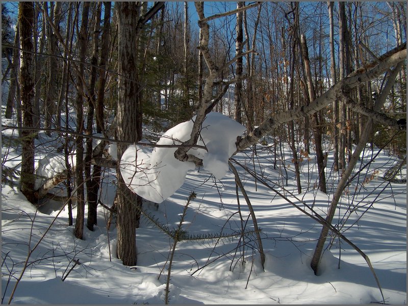 March 2006 44.jpg