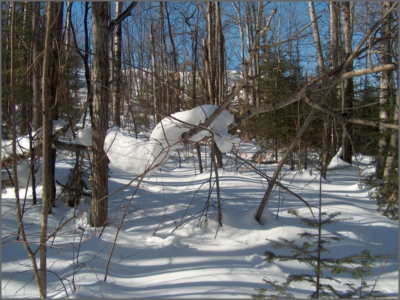 March 2006 45.jpg