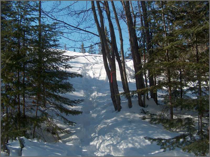 March 2006 48.jpg