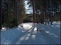 March 2006 04.jpg