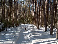 March 2006 10.jpg