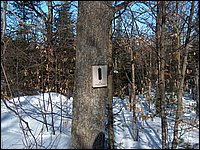 March 2006 17.jpg
