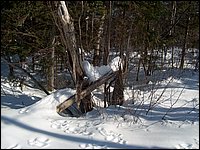 March 2006 19.jpg