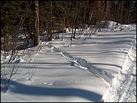 March 2006 20.jpg