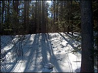 March 2006 30.jpg