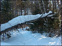 March 2006 32.jpg