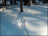 March 2006 34.jpg