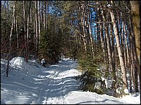 March 2006 37.jpg