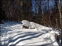 March 2006 38.jpg