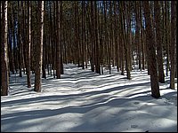 March 2006 40.jpg