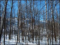 March 2006 41.jpg