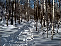 March 2006 42.jpg