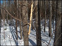 March 2006 43.jpg