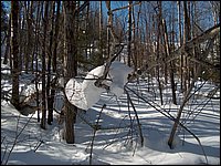 March 2006 44.jpg