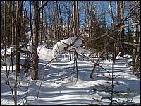 March 2006 45.jpg