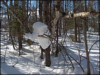 March 2006 46.jpg