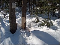 March 2006 47.jpg