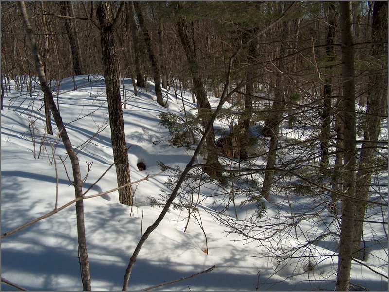 March 2006-23.jpg