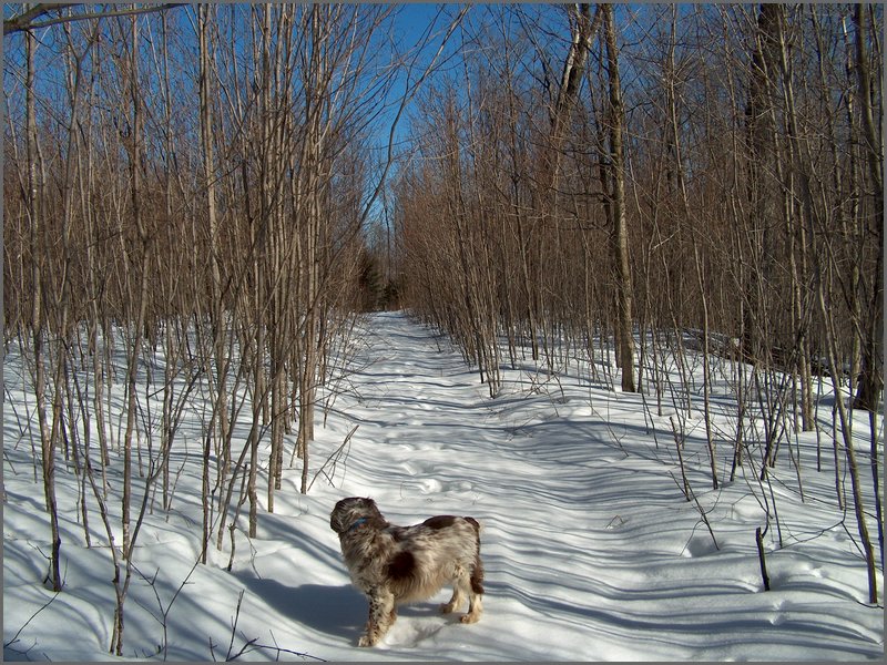 March 2006-25.jpg