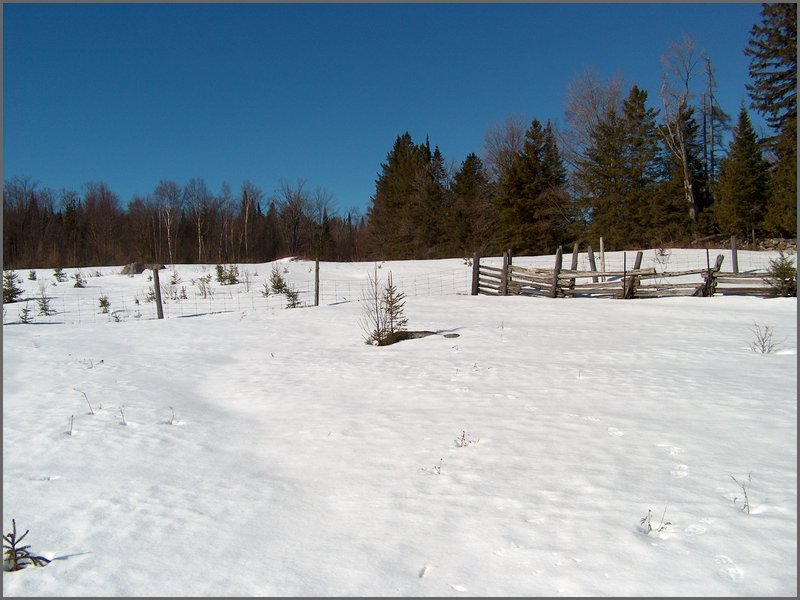 March 2006-32.jpg