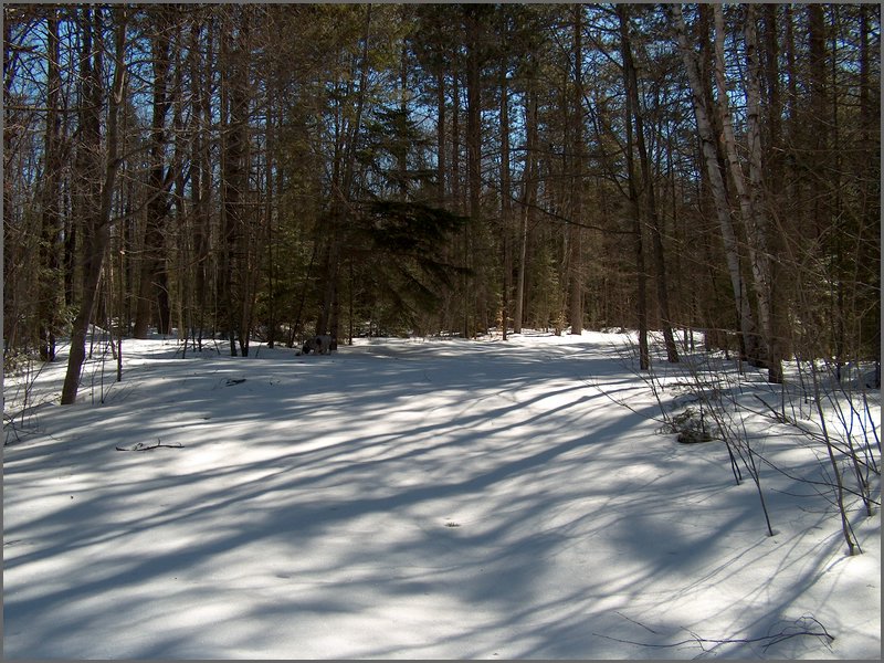 March 2006-59.jpg