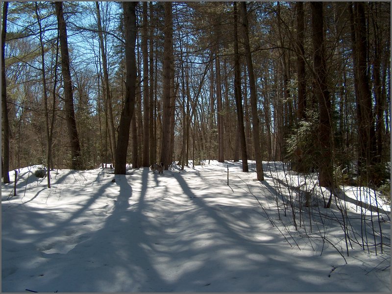 March 2006-63.jpg