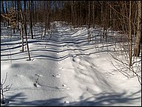 March 2006-28.jpg