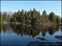 Mothers Day 2005 13.jpg