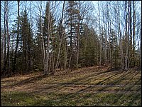 Mothers Day 2005 16.jpg
