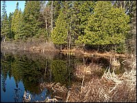Mothers Day 2005 17.jpg
