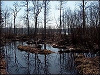Mothers Day 2005 20.jpg