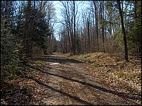 Mothers Day 2005 26.jpg