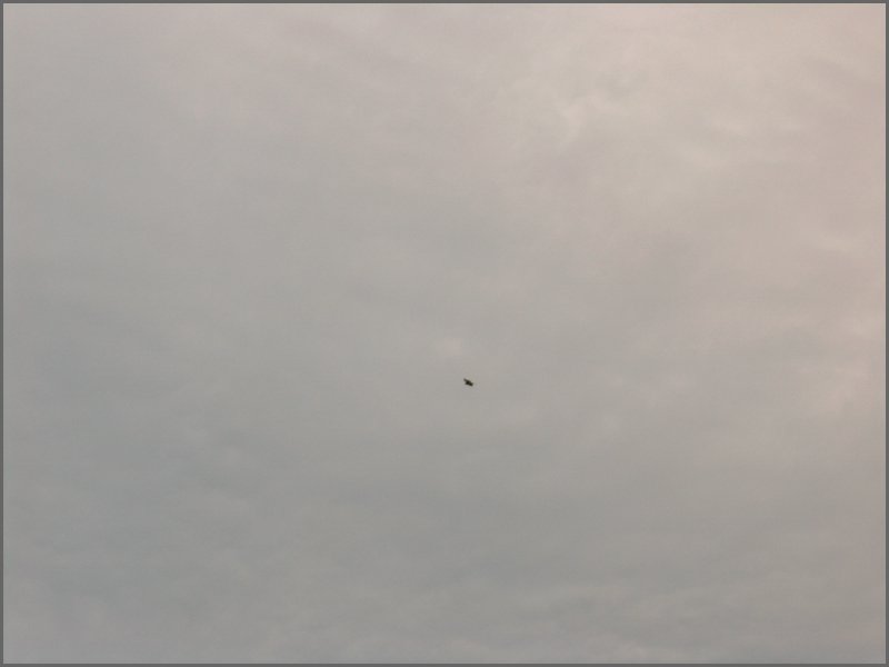 May 2006 29.JPG