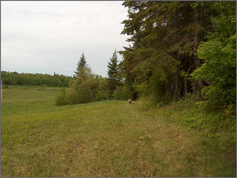 May 2006 41.JPG