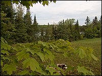 May 2006 03.JPG