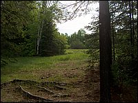 May 2006 07.JPG