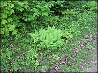 May 2006 16.JPG