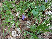 May 2006 18.JPG
