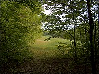 May 2006 20.JPG
