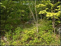May 2006 22.JPG