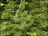 May 2006 23.JPG