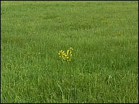 May 2006 28.JPG