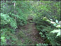 May 2006 36.JPG