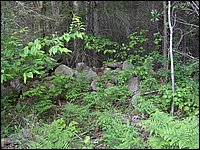 May 2006 37.JPG