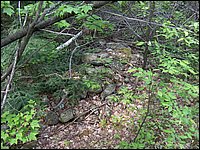 May 2006 44.JPG